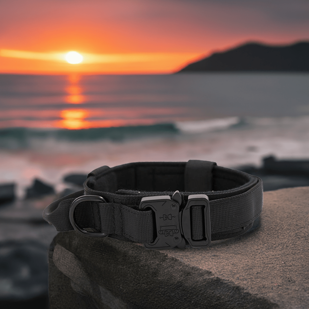 High-quality dog collar UK in black resting on a stone with a sunset and ocean background