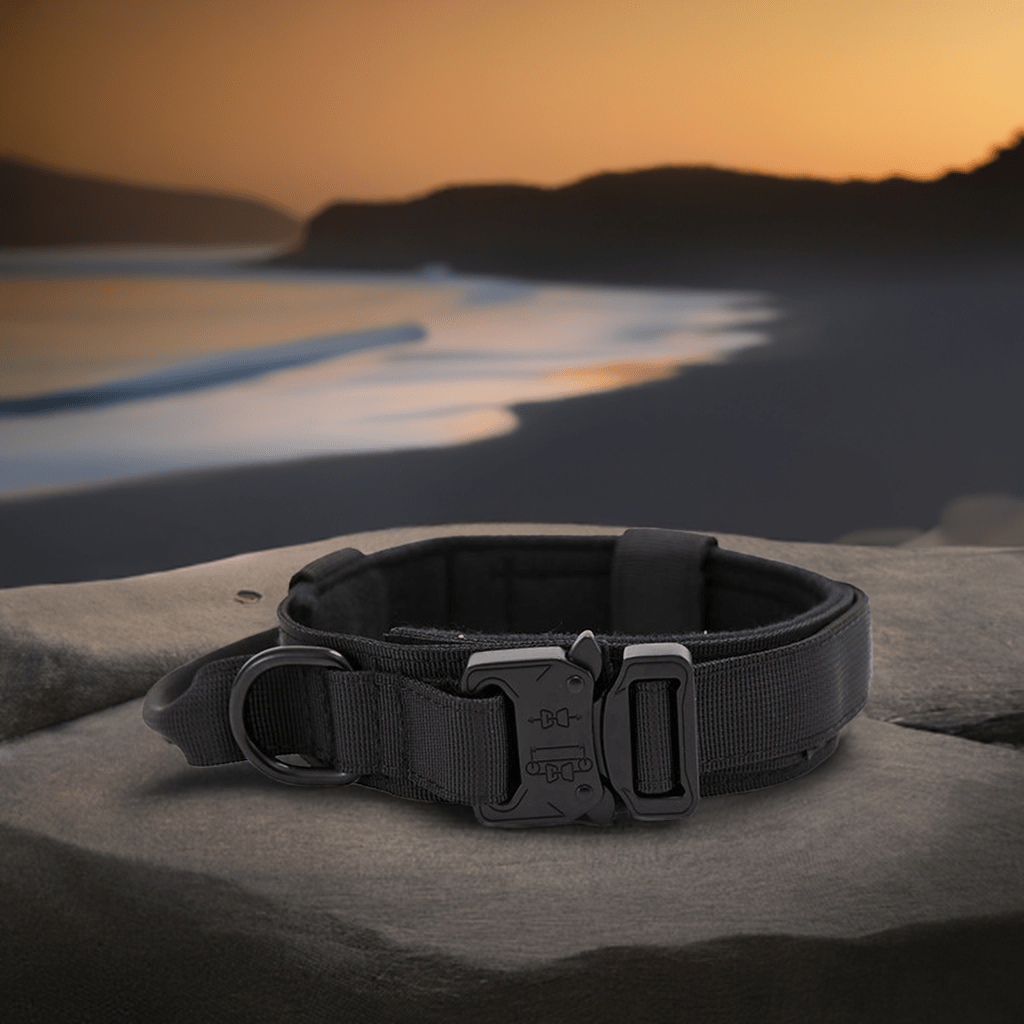 High-quality dog collar UK in black with durable buckle and adjustable design for comfort