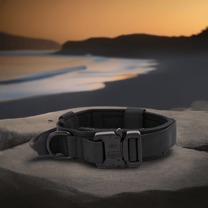 High-quality dog collar UK in black with durable buckle and adjustable design for comfort