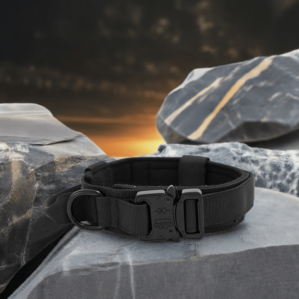 High-quality dog collar UK with durable buckle and padded interior for comfort