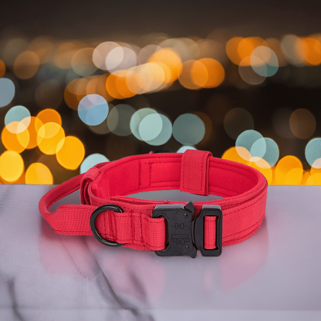 High-quality dog collar UK in vibrant red with durable buckle and adjustable design for pets
