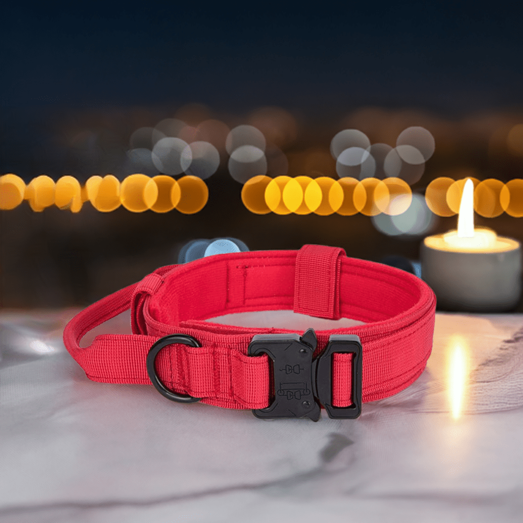 High-quality adjustable dog collar in durable nylon – perfect for daily walks in the UK