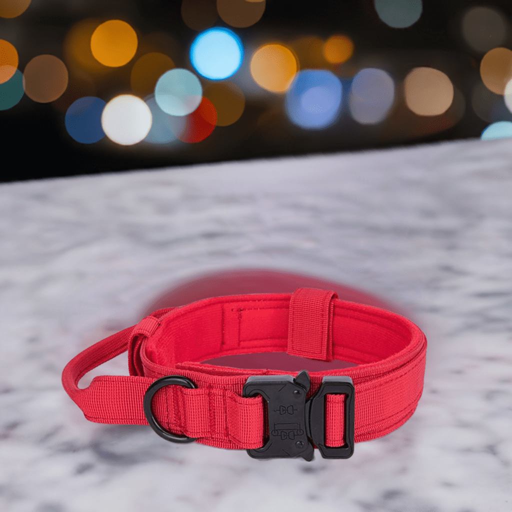 High-quality dog collar UK in vibrant red color with secure buckle for safe dog walks