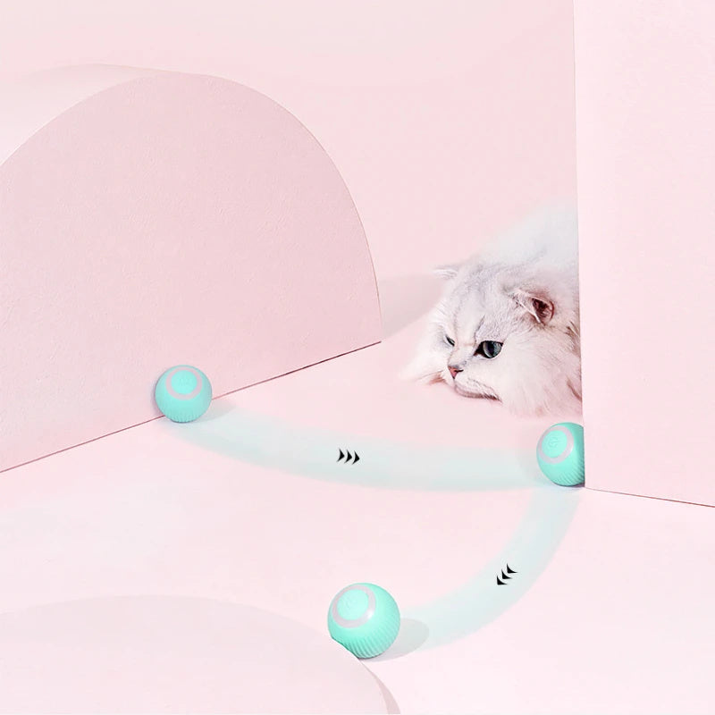 Interactive Cat Car Toy in action with playful cat exploring its colorful movement