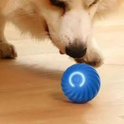 Interactive dog ball UK for engaging playtime, designed for active dogs to stimulate their minds