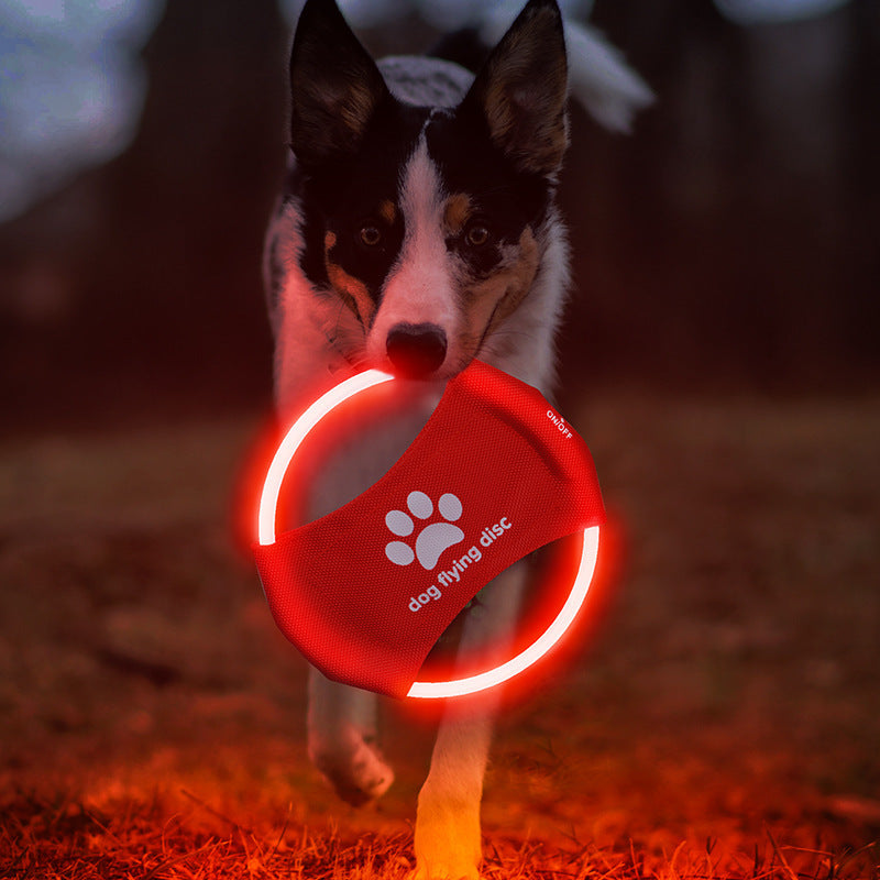 Petpal LED dog flying disc in red for nighttime play, designed for fetch and exercise