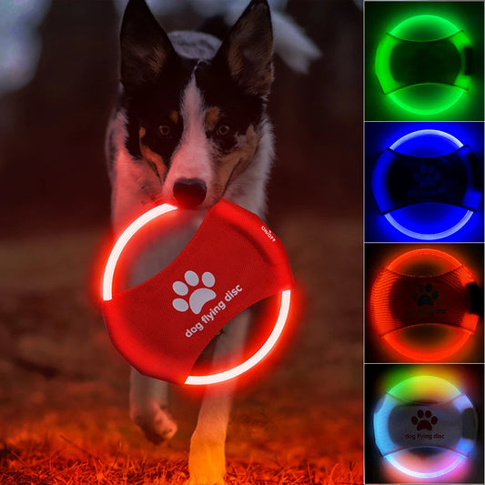 LED dog flying disc in vibrant colors for nighttime play and visibility during fetch games