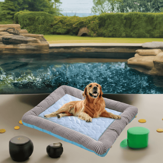 Comfortable multi-size pet bed mat featuring a soft blue interior for dogs to relax and sleep