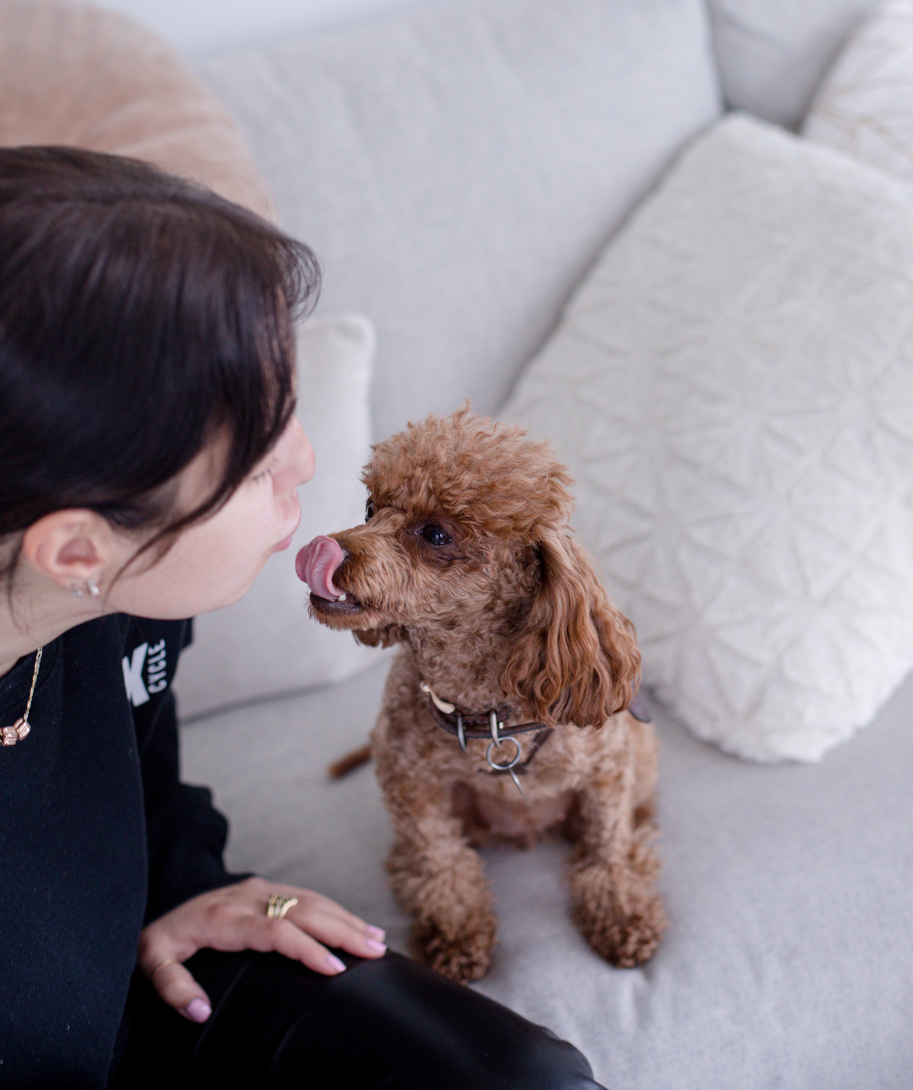 a women with a dog wear Reflective No‑Pull Harness for Small Dogs