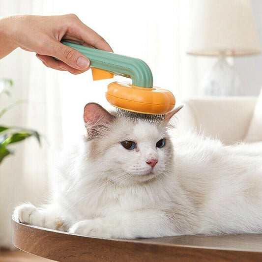 Pet pumpkin brush in use on a fluffy white cat for effective grooming and reducing shedding