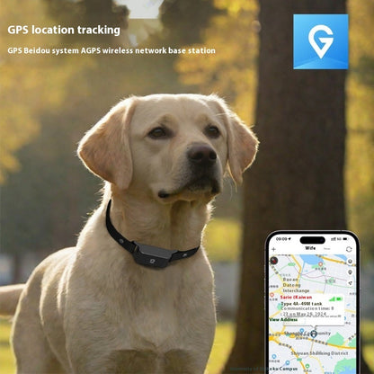 Close-up of lightweight PetPal GPS tracker device for pets