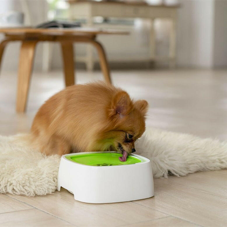 PetPal Non-Slip Dog Water Bowl for Easy Hydration.