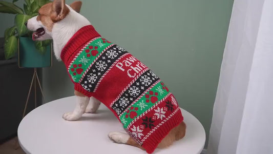 Petpal Accessories Cozy Pet Apparel for Cold Weather.
