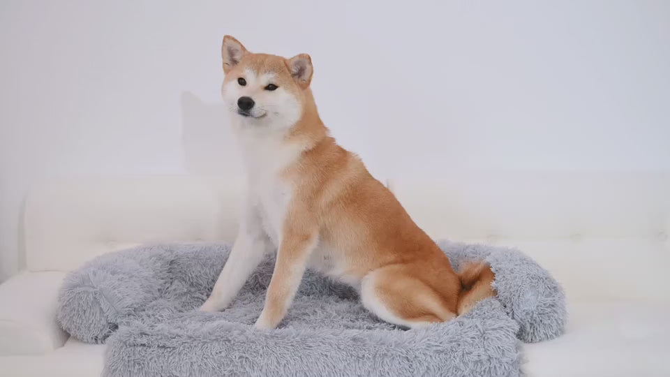 Petpal Waterproof Dog Bed Sofa Protector for Comfort.