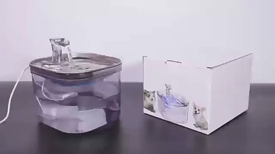 Cat drinking from stainless steel pet water fountain – PetPal Accessories
