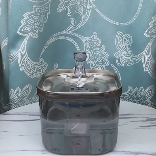 Cat drinking from stainless steel pet water fountain – PetPal Accessories