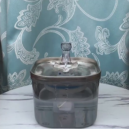 Cat drinking from stainless steel pet water fountain – PetPal Accessories