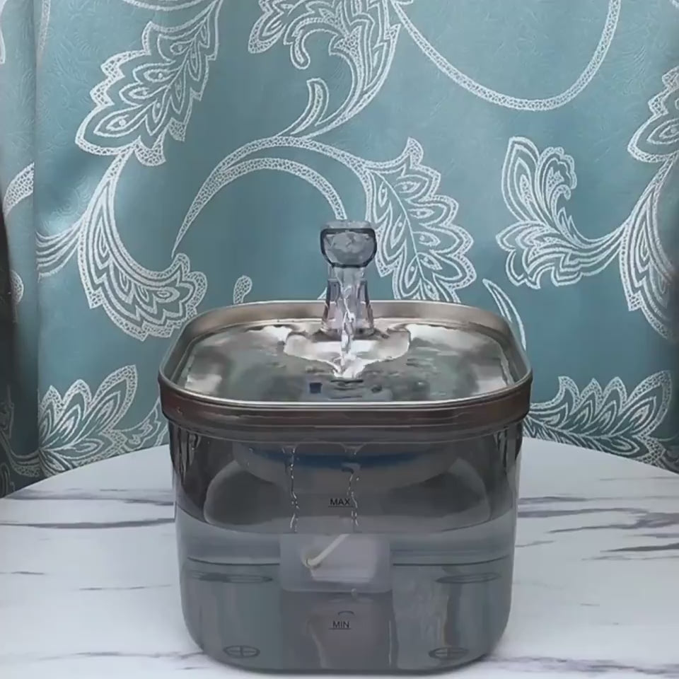 Cat drinking from stainless steel pet water fountain – PetPal Accessories