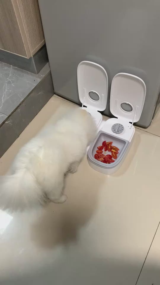 Dual section pet food and water feeder for cats and dogs