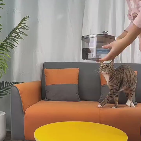 Cat drinking from stainless steel pet water fountain – PetPal Accessories