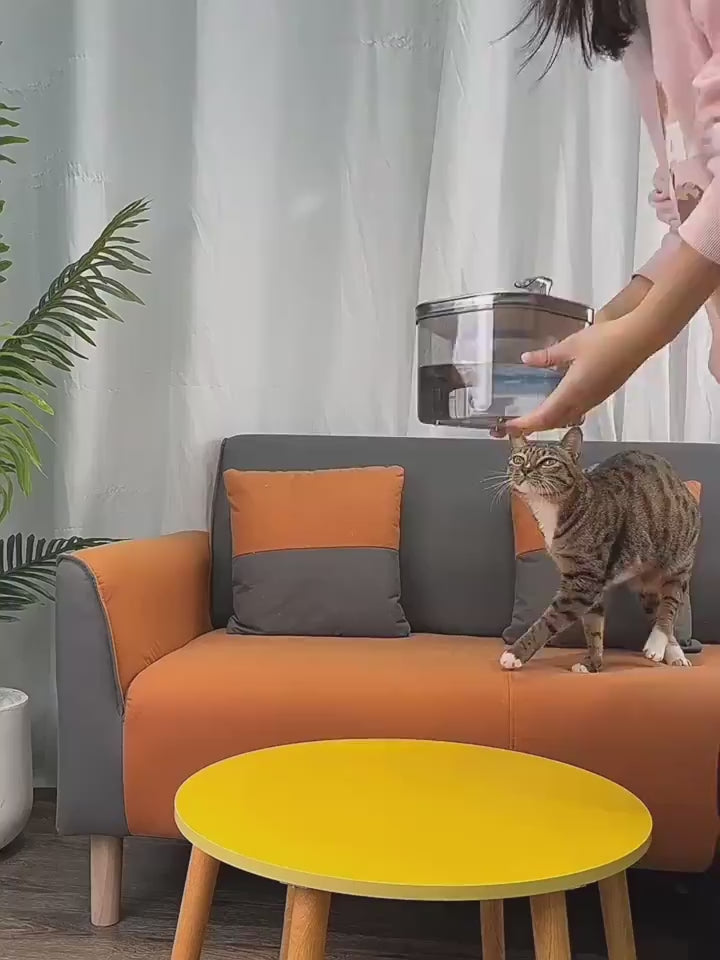 Cat drinking from stainless steel pet water fountain – PetPal Accessories