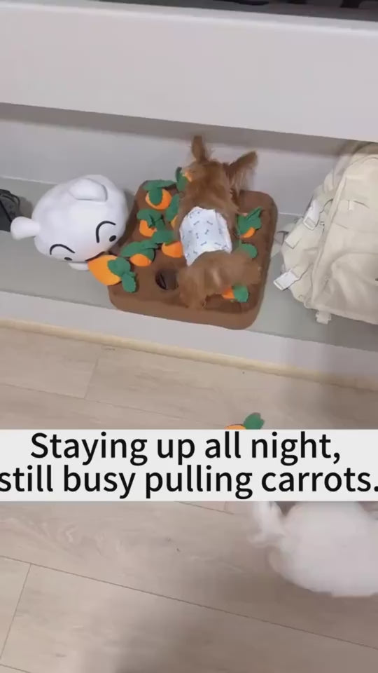 Carrot-shaped plush chew toy for dogs video play with chew carrot pluh
