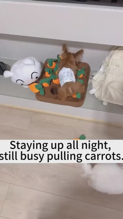 Carrot-shaped plush chew toy for dogs video play with chew carrot pluh