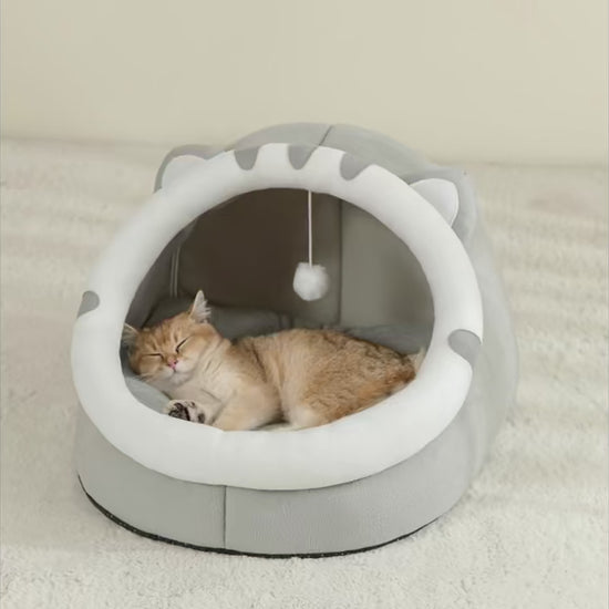 Closed Cat Litter Box for Small Dogs and Cats.