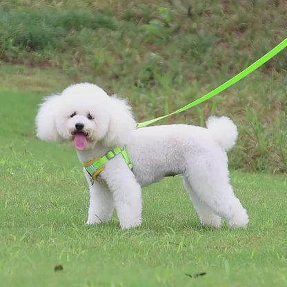 Reflective No‑Pull Harness for Small Dogs walking with the owner