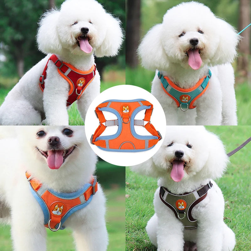 Petpal reflective no pull harness for small dogs in vibrant colors for safe walks