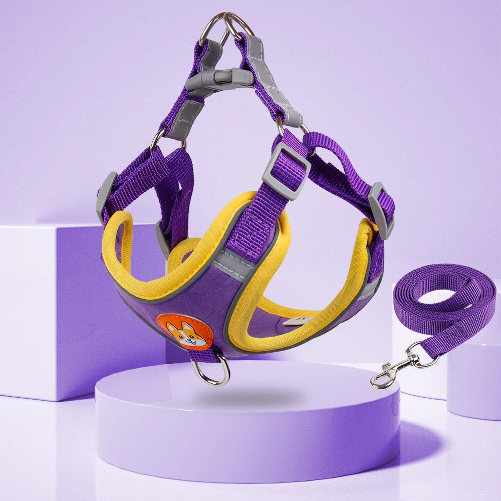 Petpal reflective no pull harness for small dogs in purple and yellow design with matching leash