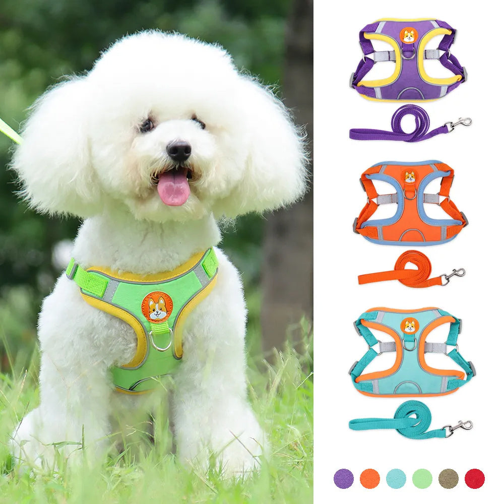 Reflective no‑pull harness for small dogs by PetPal