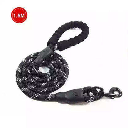 Petpal Reflective Puppy Leash for Night Walks.