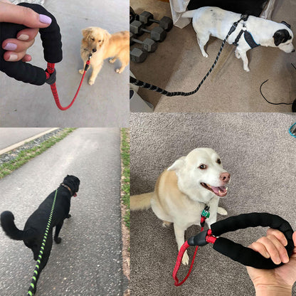Durable Petpal accessories reflective puppy leash for night walks with comfortable grip and vibrant colors