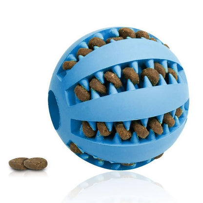 Petpal rubber dog ball toy in blue with treat-holding grooves for fun playtime
