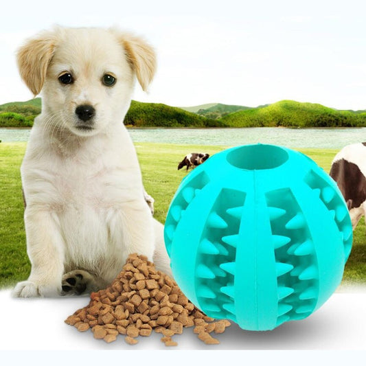 Light blue rubber dog ball toy designed for chewing and playing with a puppy and dog treats beside it