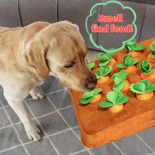 Dog sniffing interactive vegetable dog toys on a mat designed for finding hidden treats